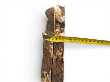 The thickness of a raw lumber slab is measured with a tape against its coarse bark.