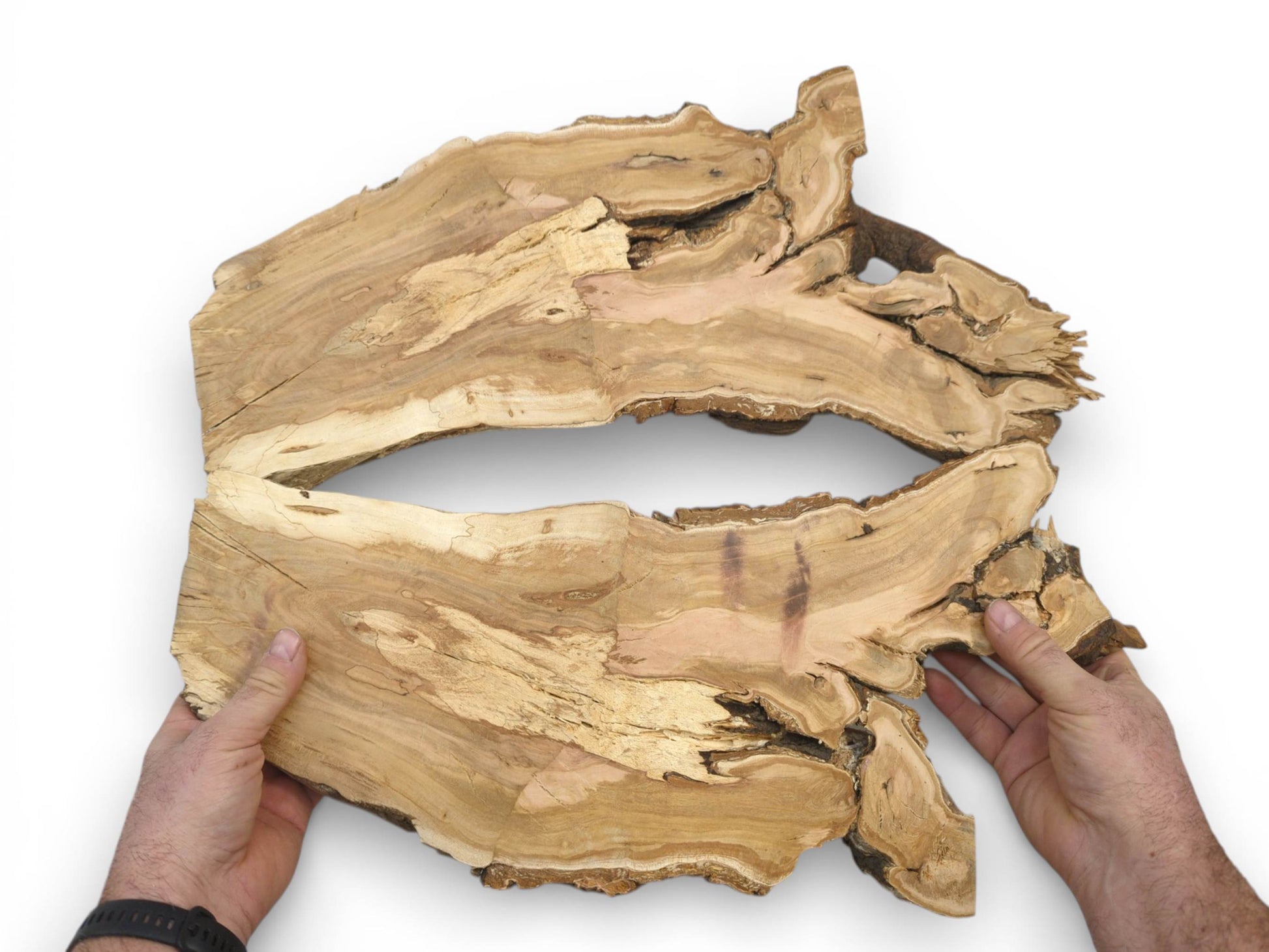 Two hands hold a raw, irregular wood slab featuring a large natural opening in the center.