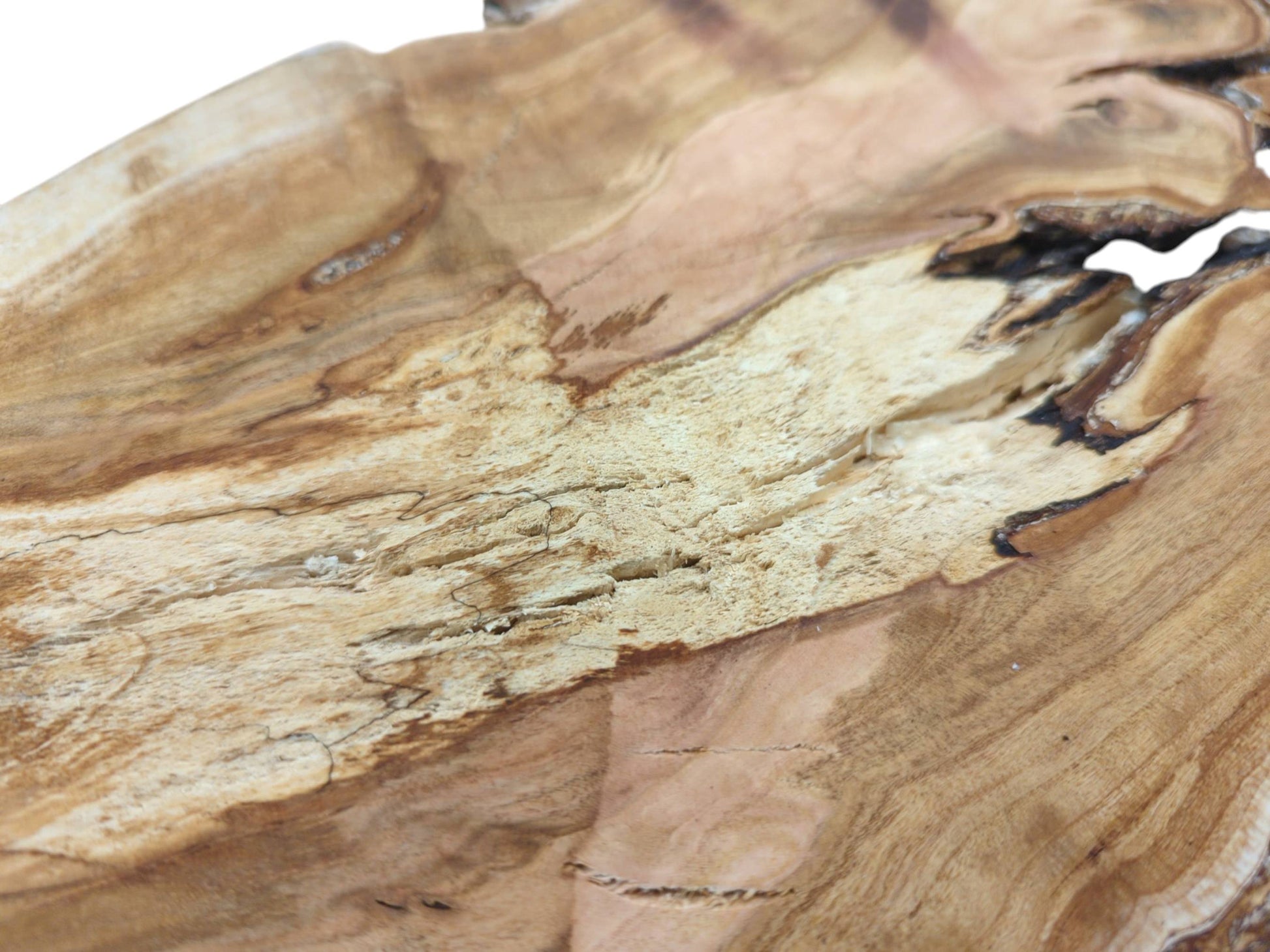A macro shot contrasting the smooth wood grain with a coarse, pitted section of the cherry slab.