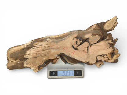 A figured cherry root section with red writing is being weighed on a small digital scale.