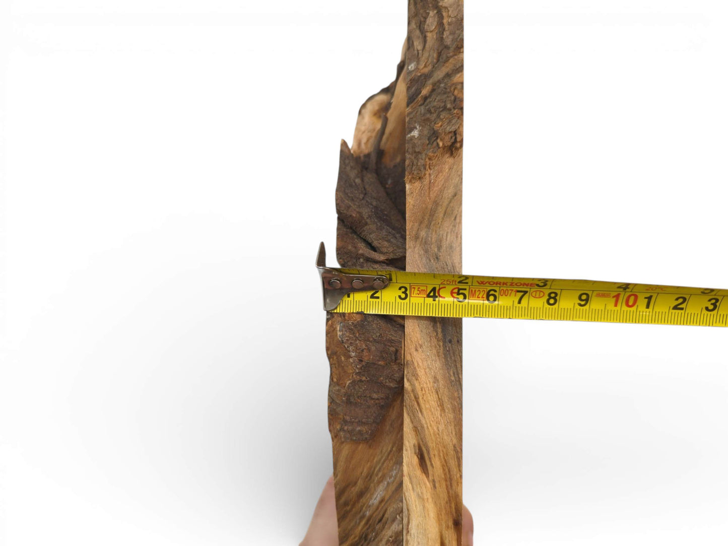 The edge of a figured cherry root slab is being measured for thickness with a yellow tape.