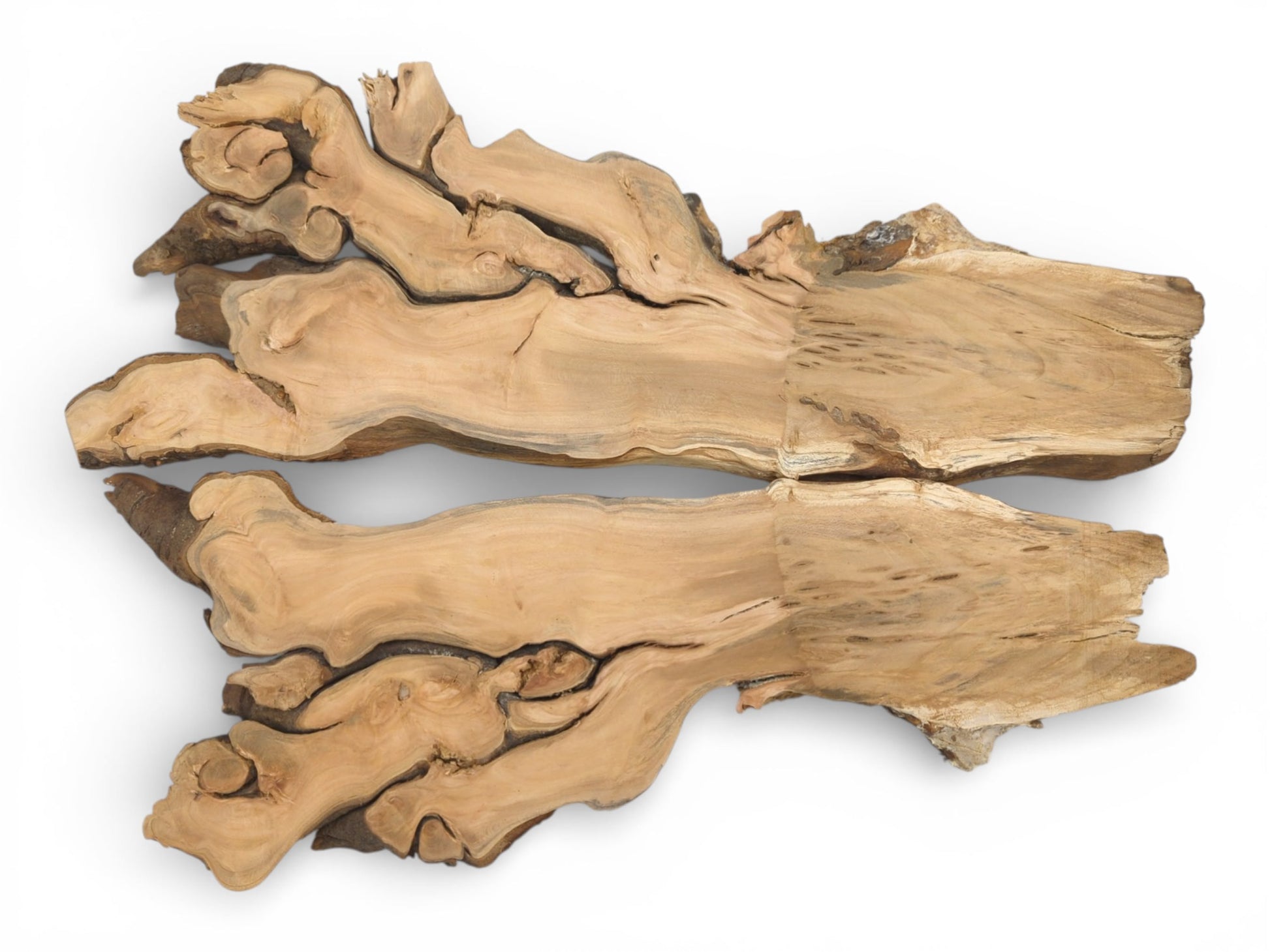 Two corresponding sections of a figured cherry root laid flat to display their symmetrical, burled shapes.