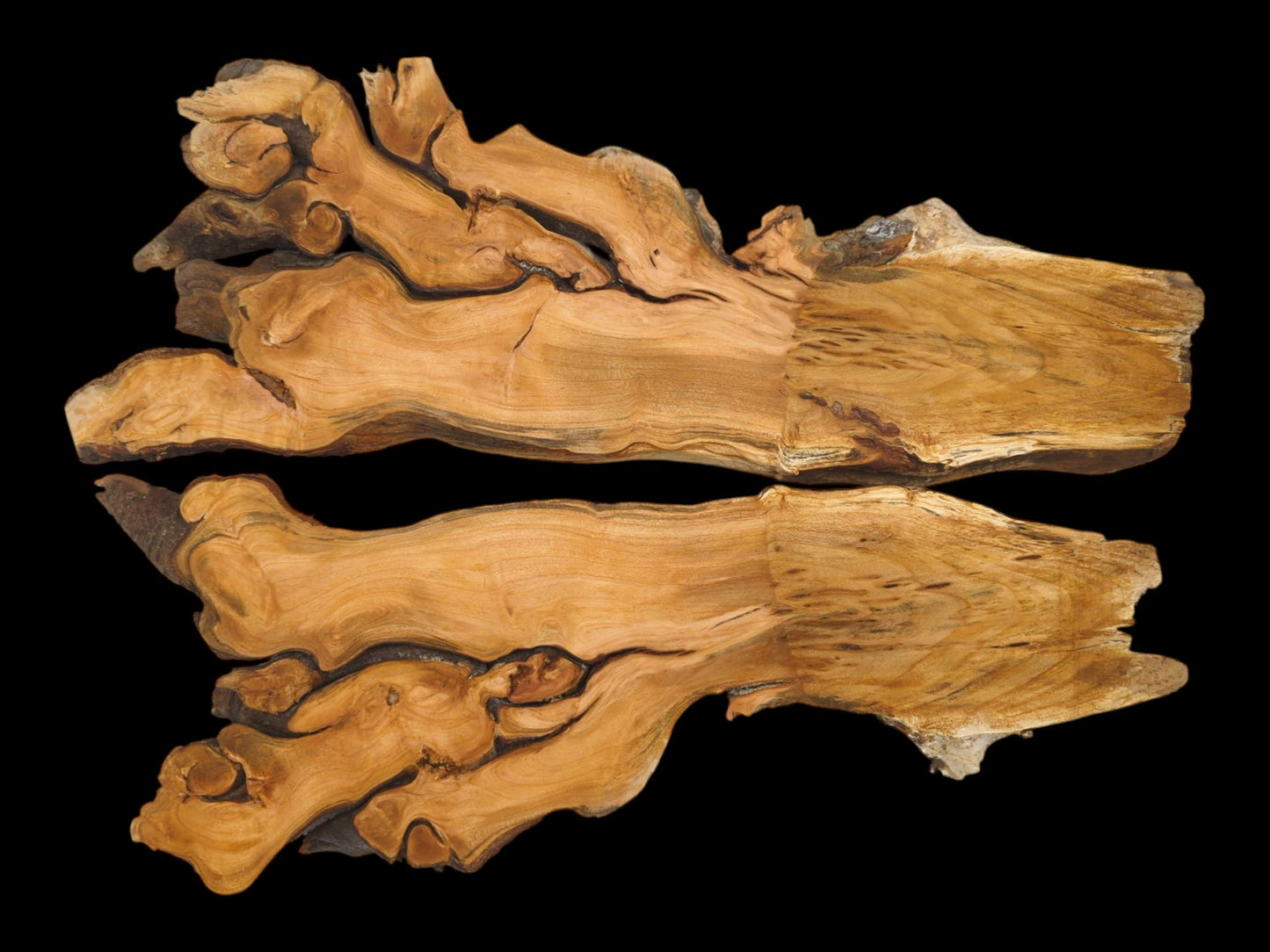 Two bookmatched halves of a cherry root are laid open, showcasing their mirrored, golden-brown grain patterns.