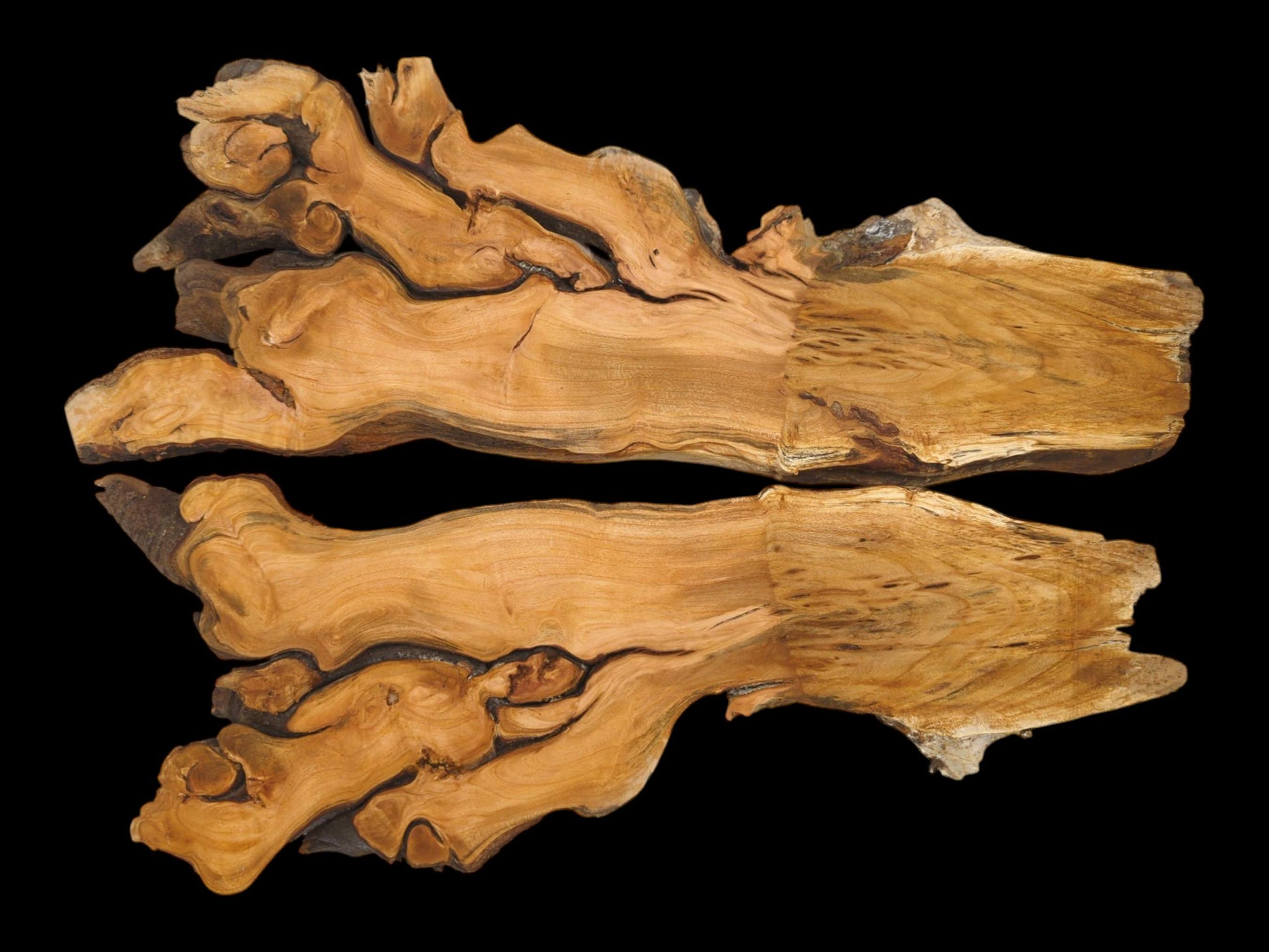 Two bookmatched halves of a cherry root are laid open, showcasing their mirrored, golden-brown grain patterns.