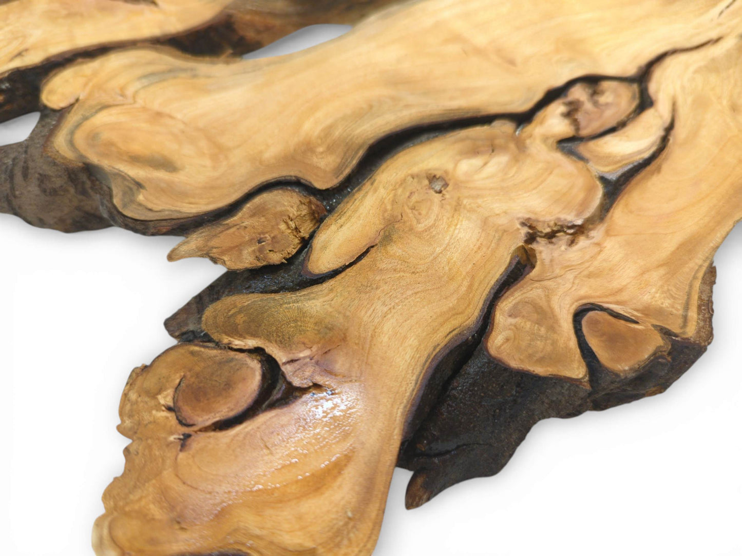 A detailed view captures the polished, flowing grain weaving around dark, recessed channels of the root.