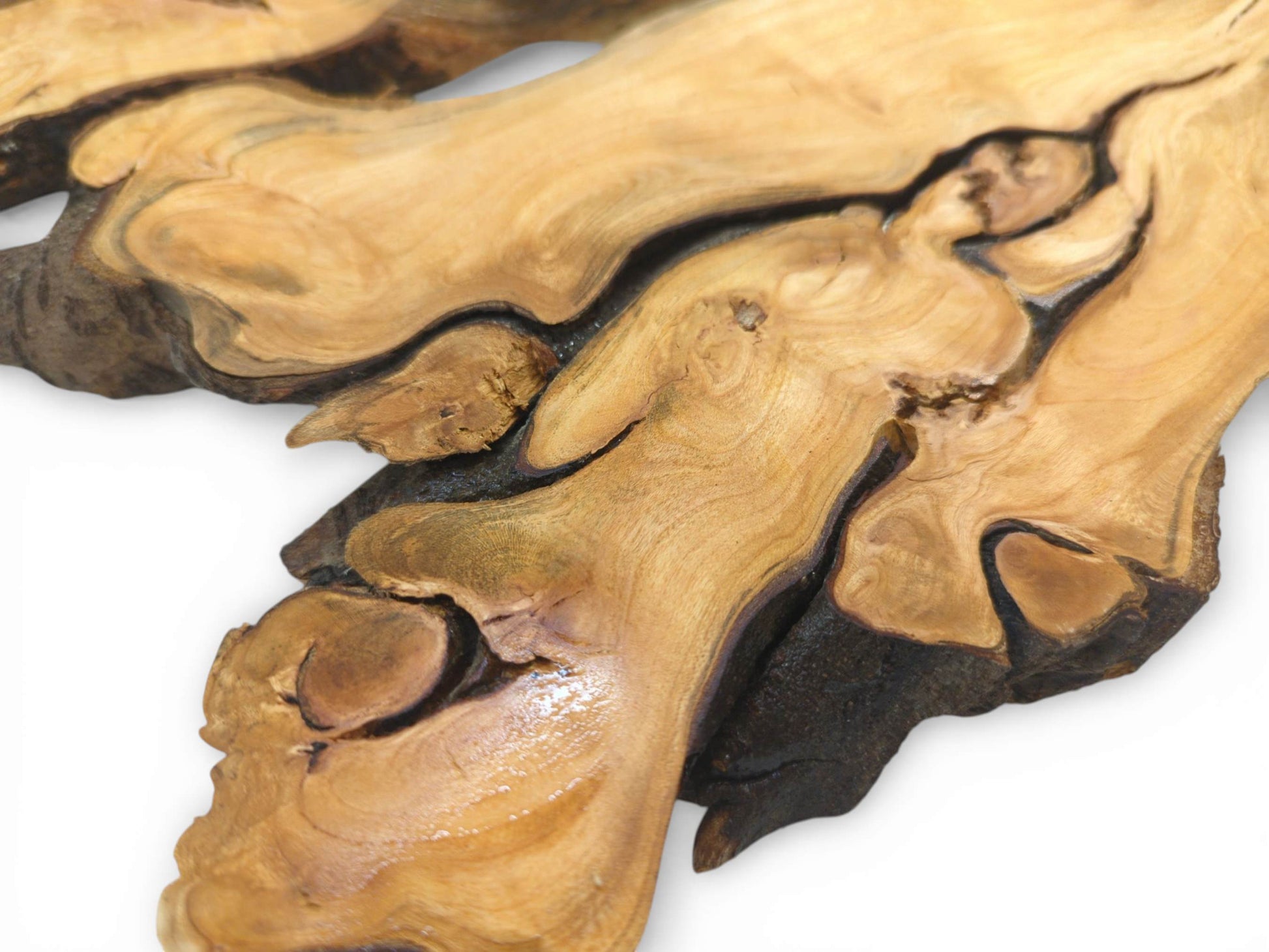A detailed view captures the polished, flowing grain weaving around dark, recessed channels of the root.