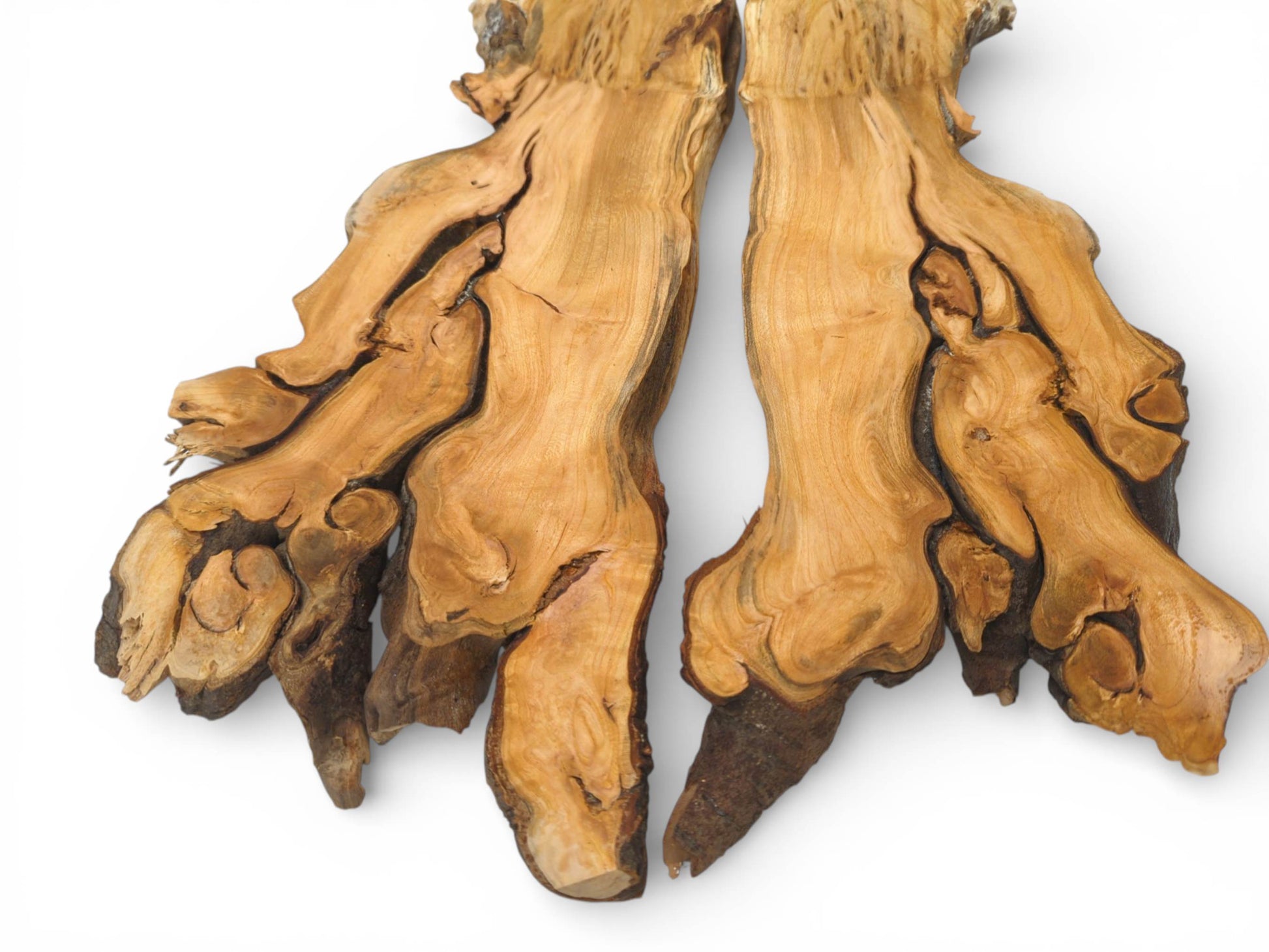 A split cherry root, laid out in two pieces, displays its complex, gnarled form and light wood.