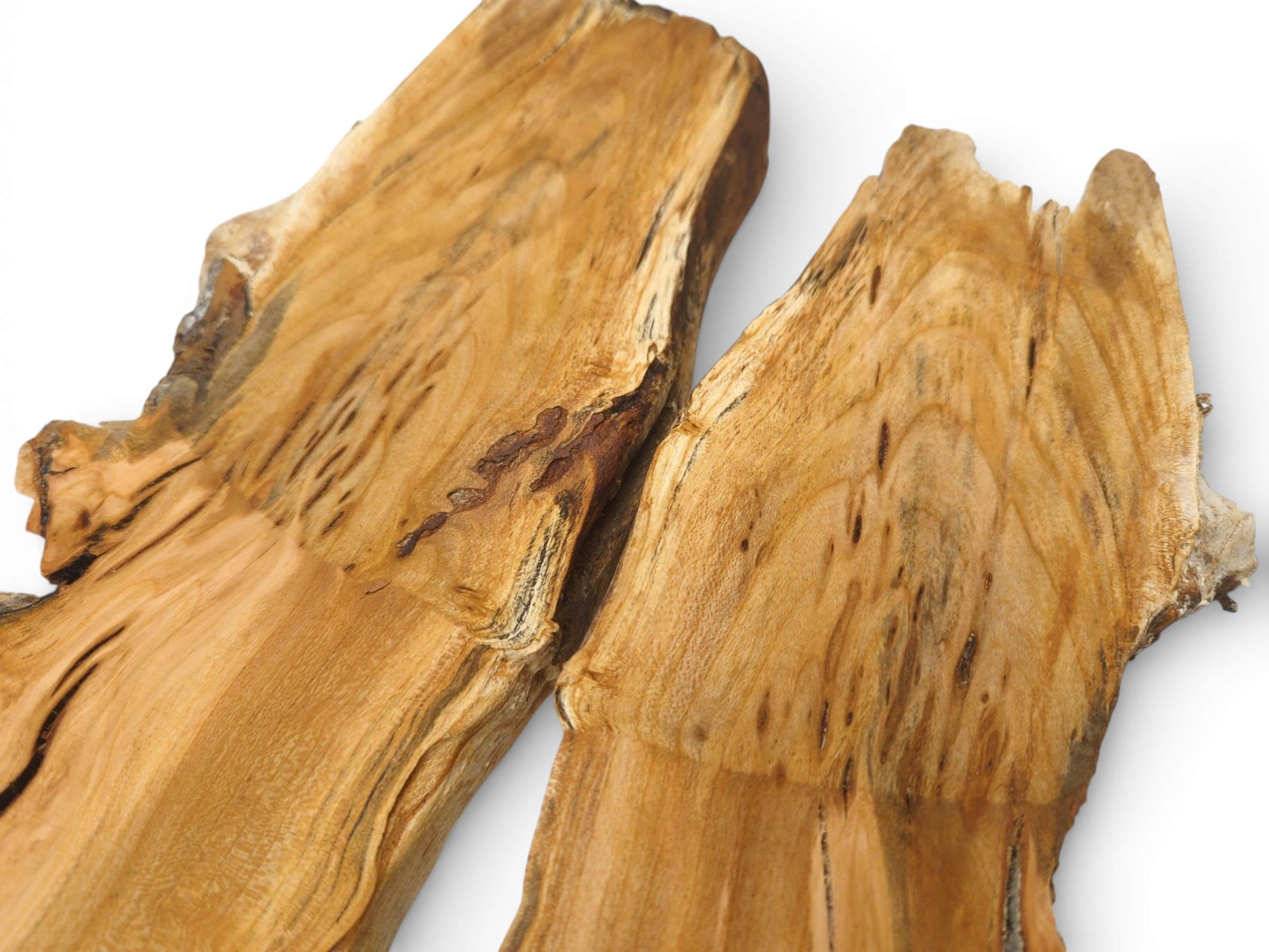 Two irregular sections of cherry root show a golden hue with distinctive dark mineral streaks and figuring.