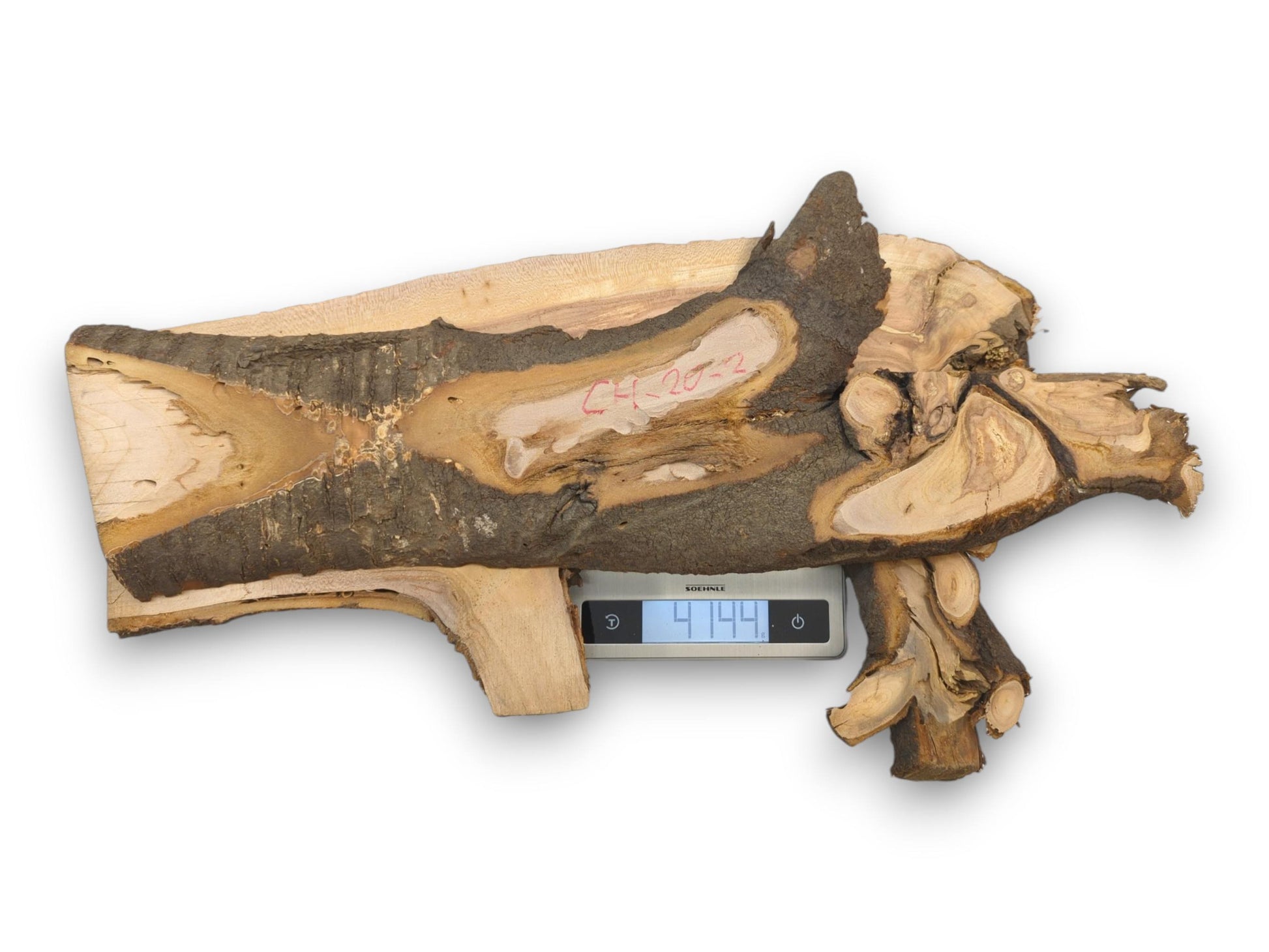 Overhead view of a wild cherry wood slab with live edges resting on a digital weight scale.