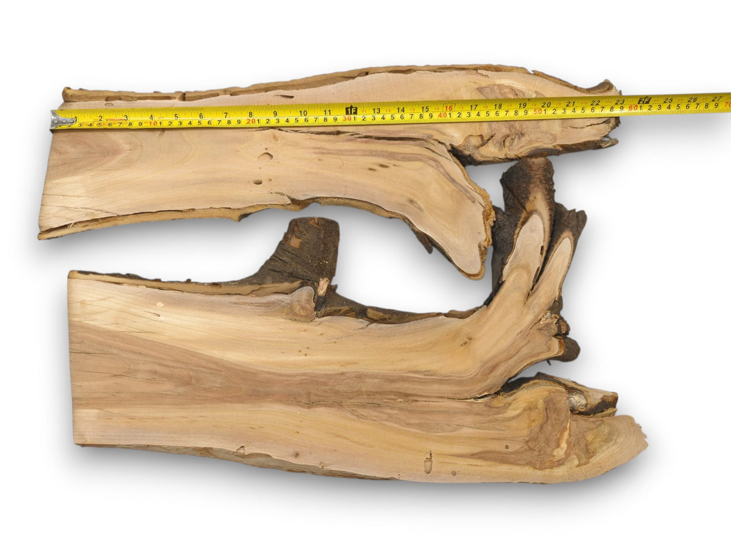 Two irregular cherry wood cross-sections measured with a yellow tape placed along the top piece's length.
