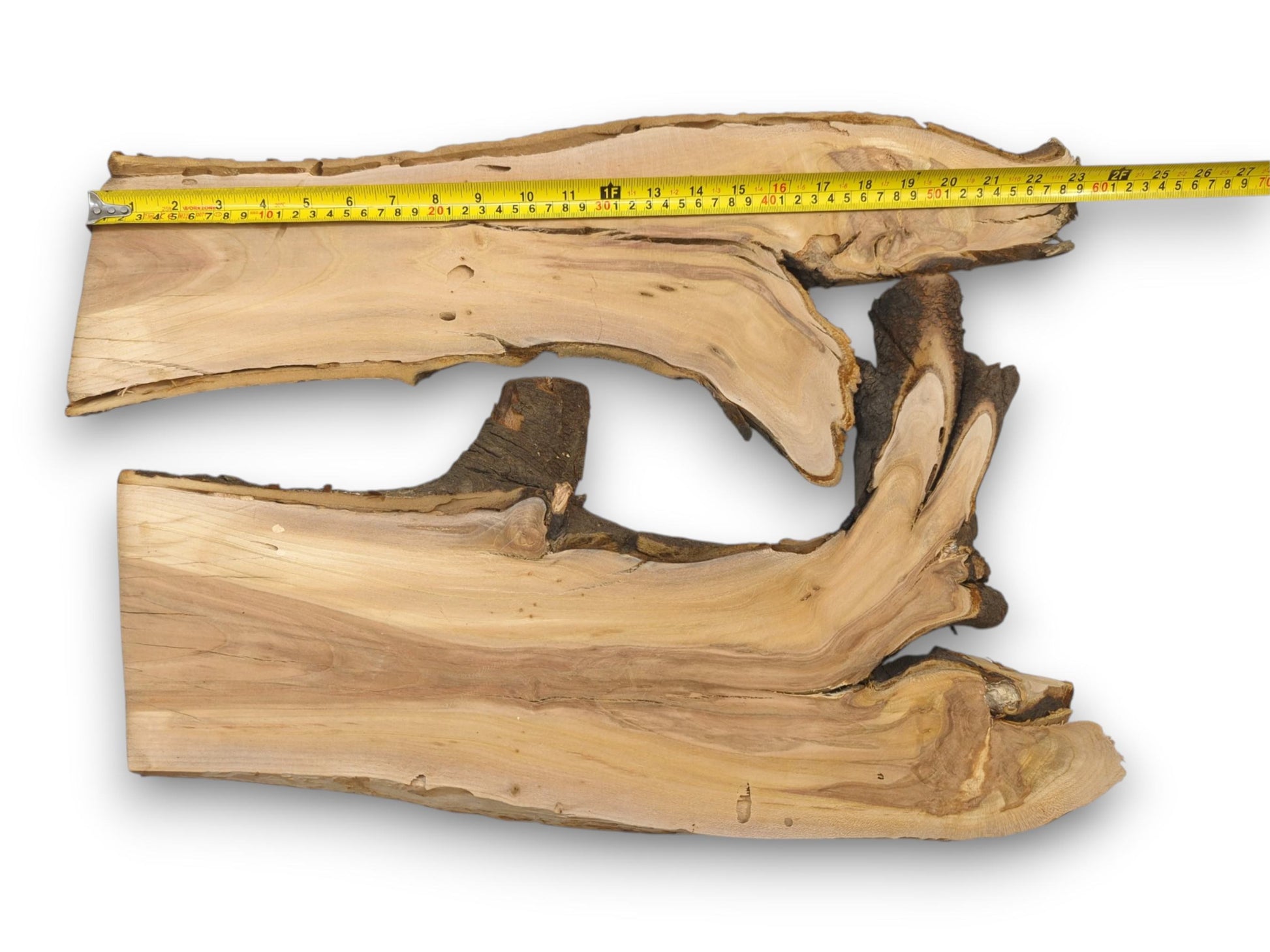 Two irregular cherry wood cross-sections measured with a yellow tape placed along the top piece's length.