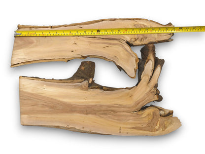 Two irregular cherry wood cross-sections measured with a yellow tape placed along the top piece's length.