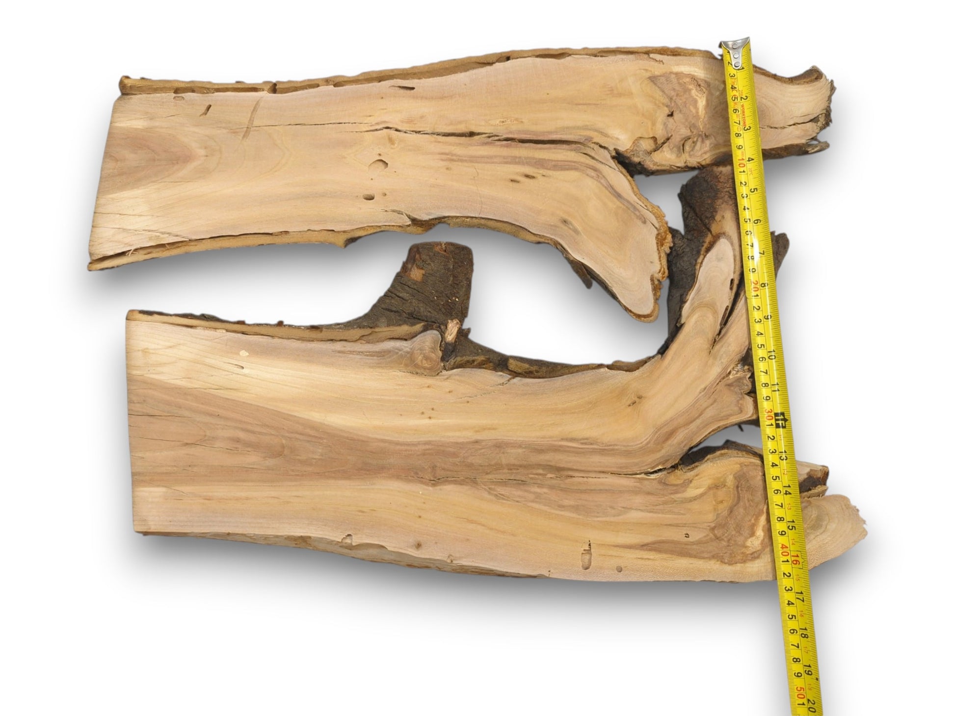 A yellow measuring tape is placed vertically beside two raw cherry wood slices to show height.