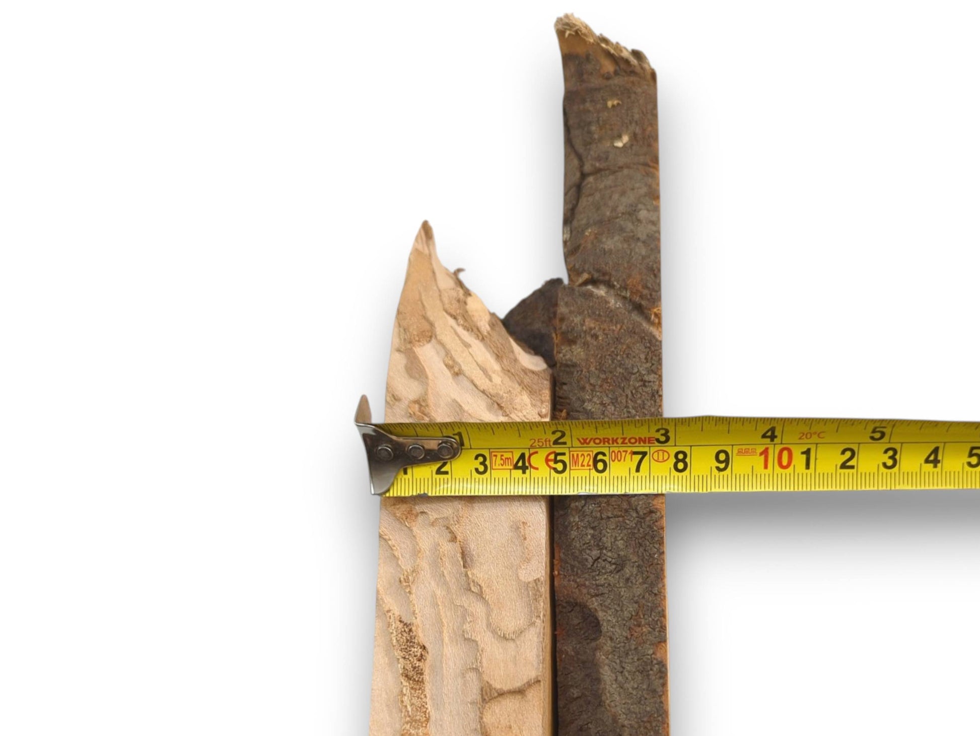 A measuring tape extends across two raw cherry wood slices, indicating their total combined width.