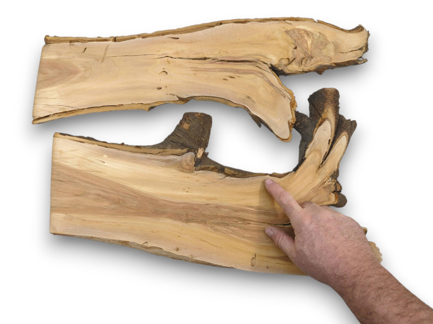 A hand points to the detailed grain on the surface of two naturally formed wood slabs.