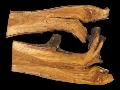 Two wood slabs with complex, contoured forms displaying flowing, golden-brown grain patterns on a black surface.