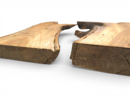 A low-angle view highlights the cross-sections and raw bark edges of two separated wood slabs.