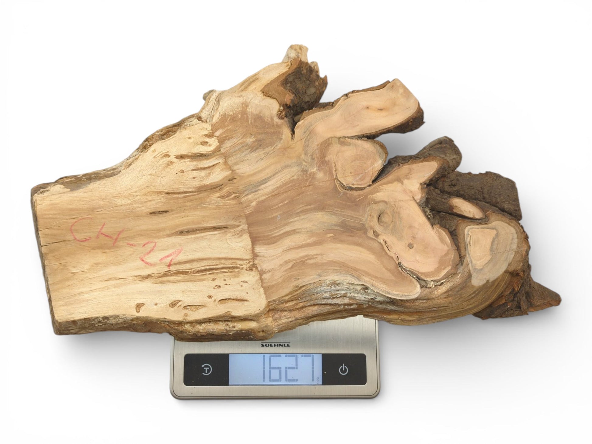 An irregular, raw wood slab with live edge bark is being weighed on a digital scale.