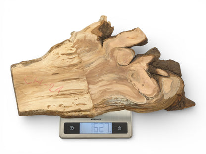 An irregular, raw wood slab with live edge bark is being weighed on a digital scale.