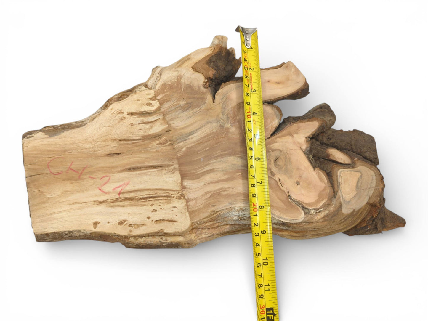 A yellow measuring tape laid vertically across an irregular raw wood slab shows the piece's width.
