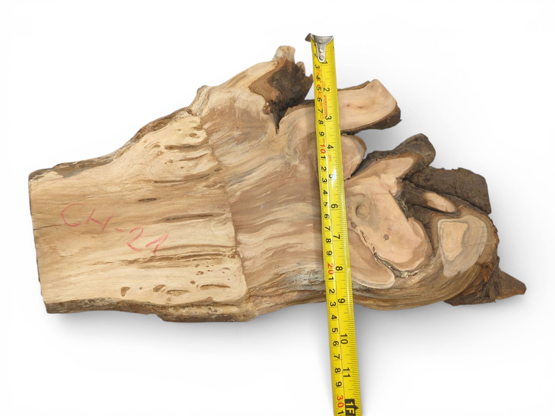 A yellow measuring tape laid vertically across an irregular raw wood slab shows the piece's width.