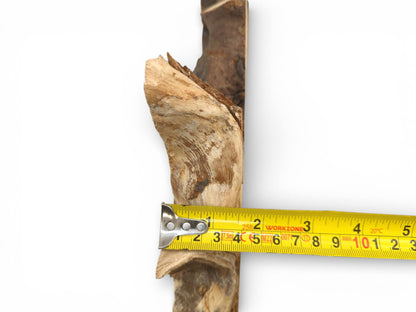 Close-up shot of a yellow tape measure taking the width of the uneven, raw wood slab.