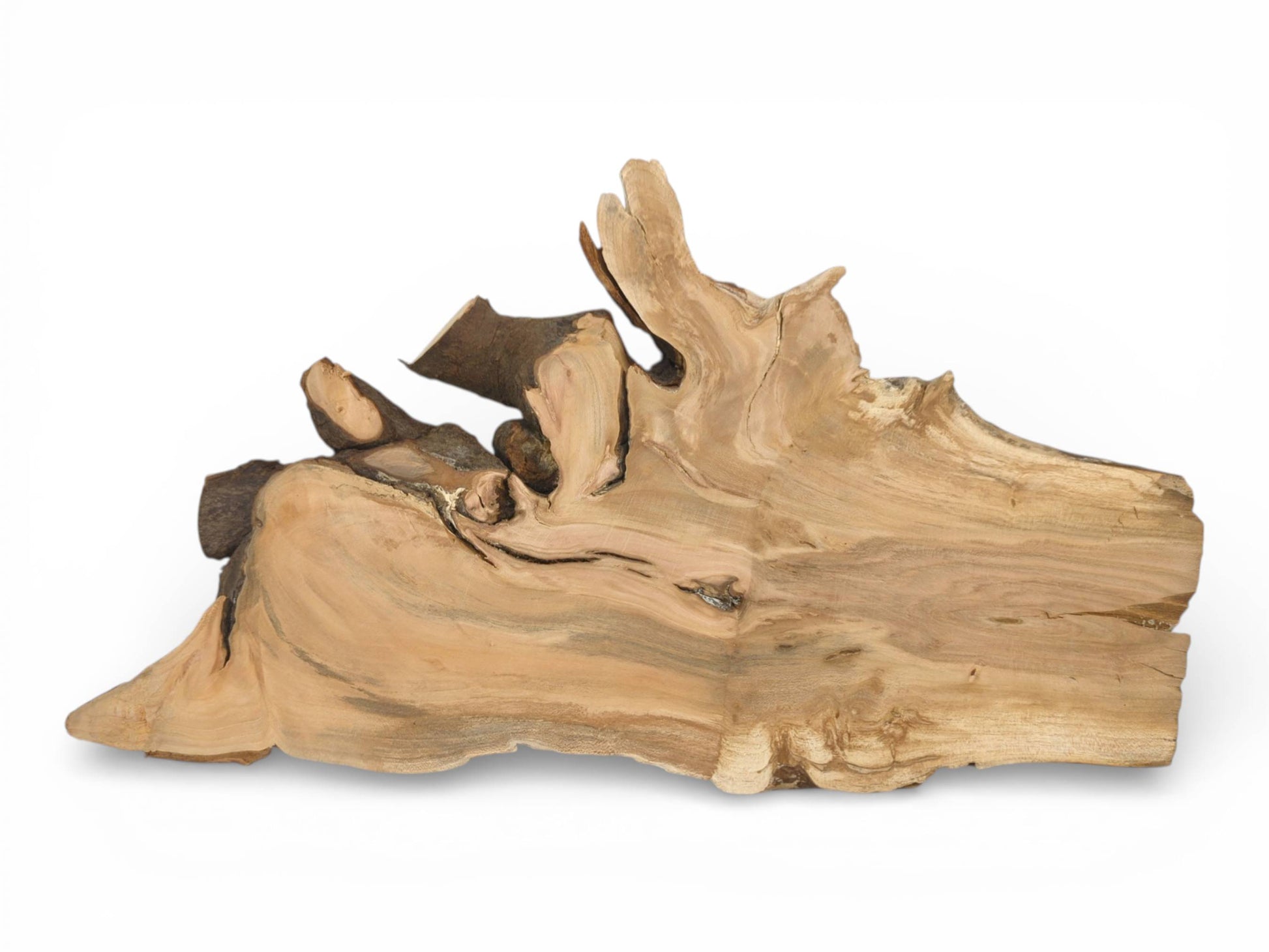 Front view of a raw wild cherry wood slab, highlighting its asymmetrical shape and live edge.