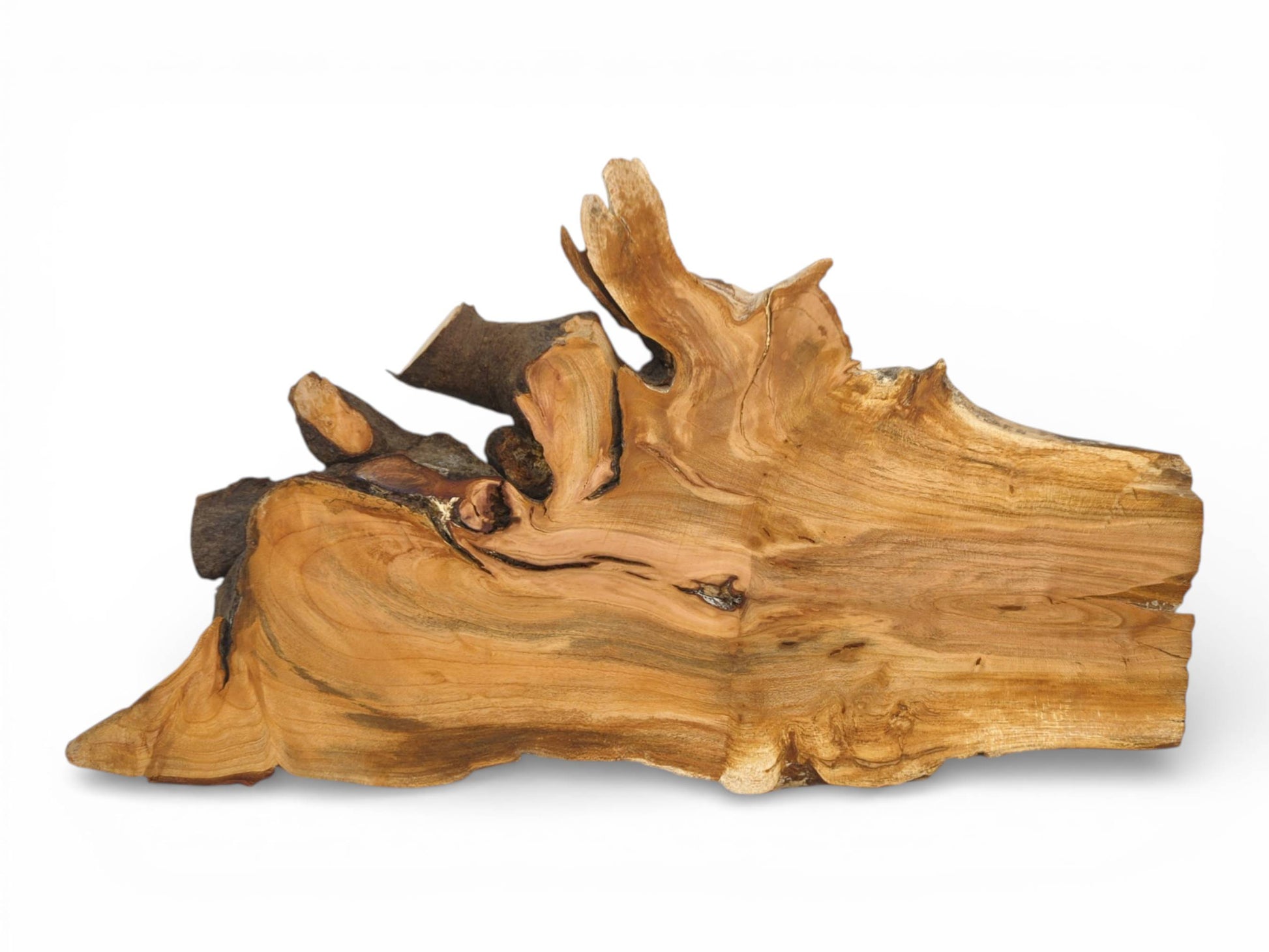 A single, unprocessed wild cherry wood slab showing a complex, gnarled top and striped grain pattern.