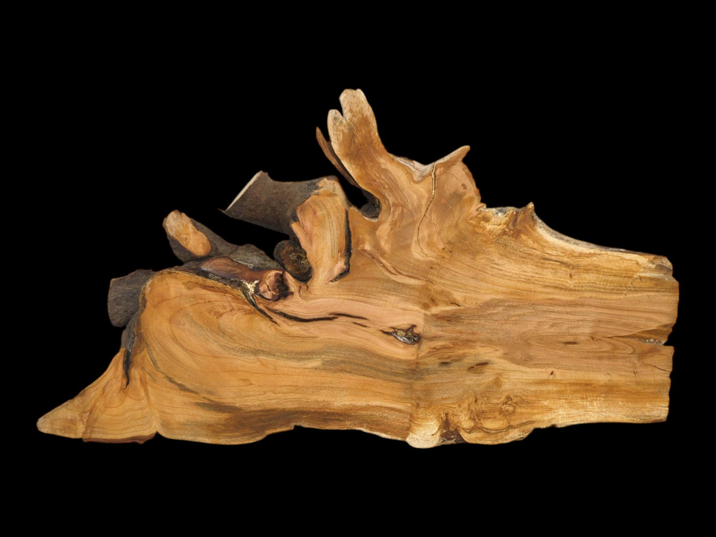 An unconventional wild cherry wood slab with a smooth face and gnarled, multi-pronged live edge.