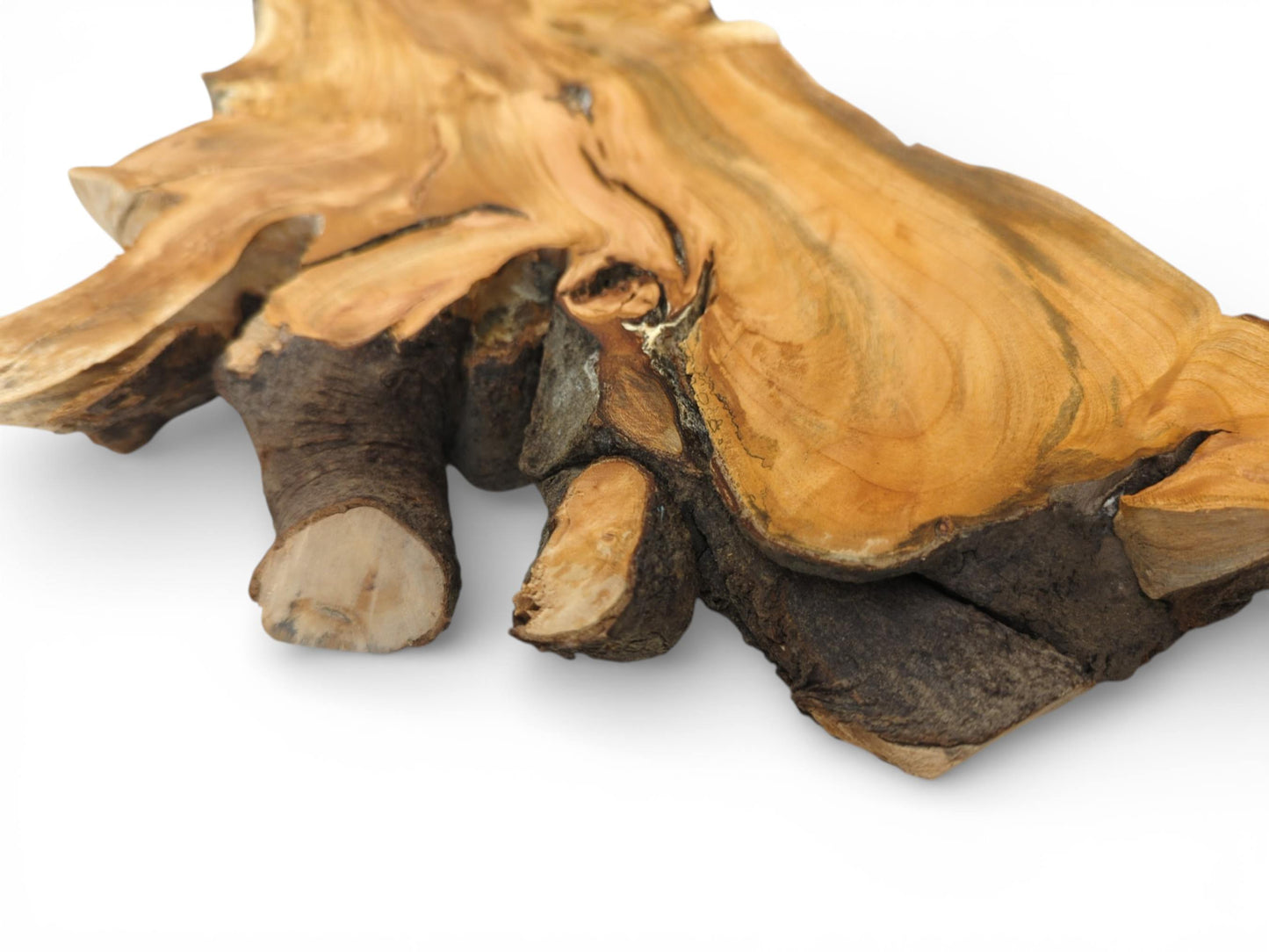 A close-up view of the slab’s edge, showing smooth grain alongside textured, dark root-like protrusions.