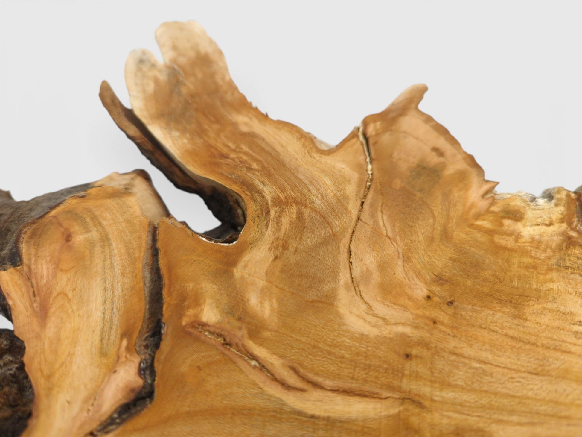 Extreme close-up on the slab's natural, uneven edge, detailing deep splits and swirling woodgrain lines.