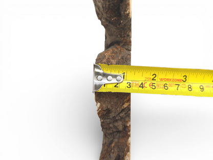 A yellow measuring tape indicates the thickness of the wild cherry slab's textured live edge.