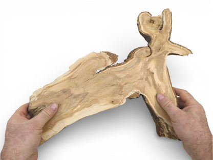 A person's hands hold a light-colored, irregular wild cherry wood slab to showcase its scale.