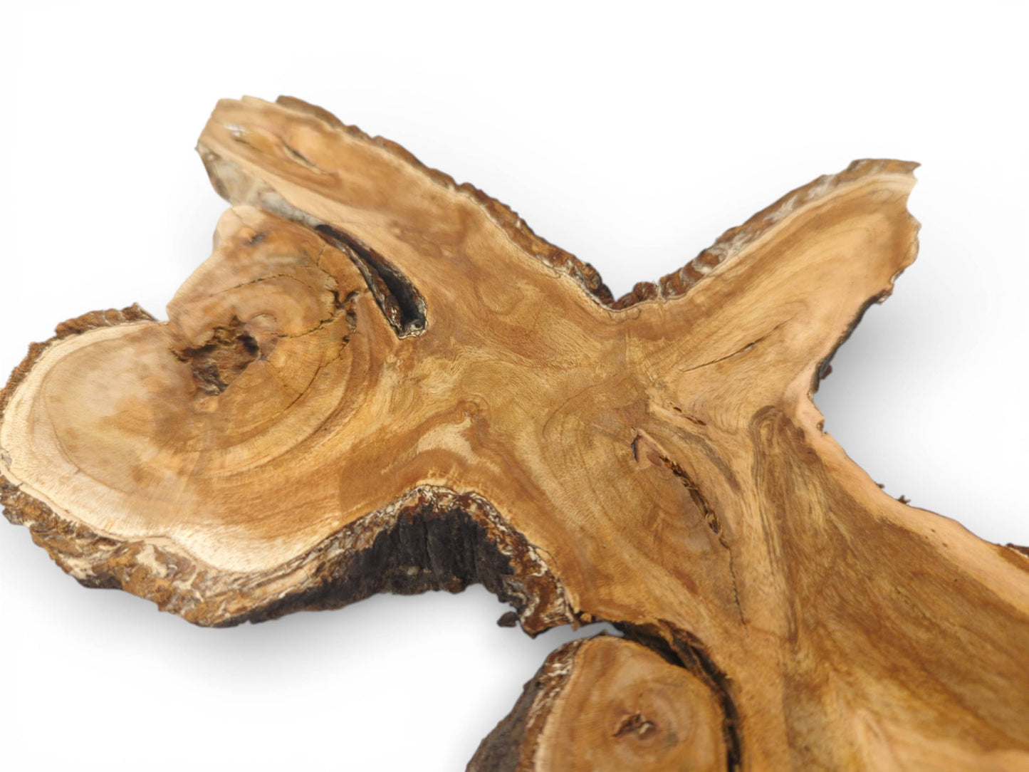 Angled close-up of a wild cherry crotch slab, showcasing the swirling grain and dark, natural edge.