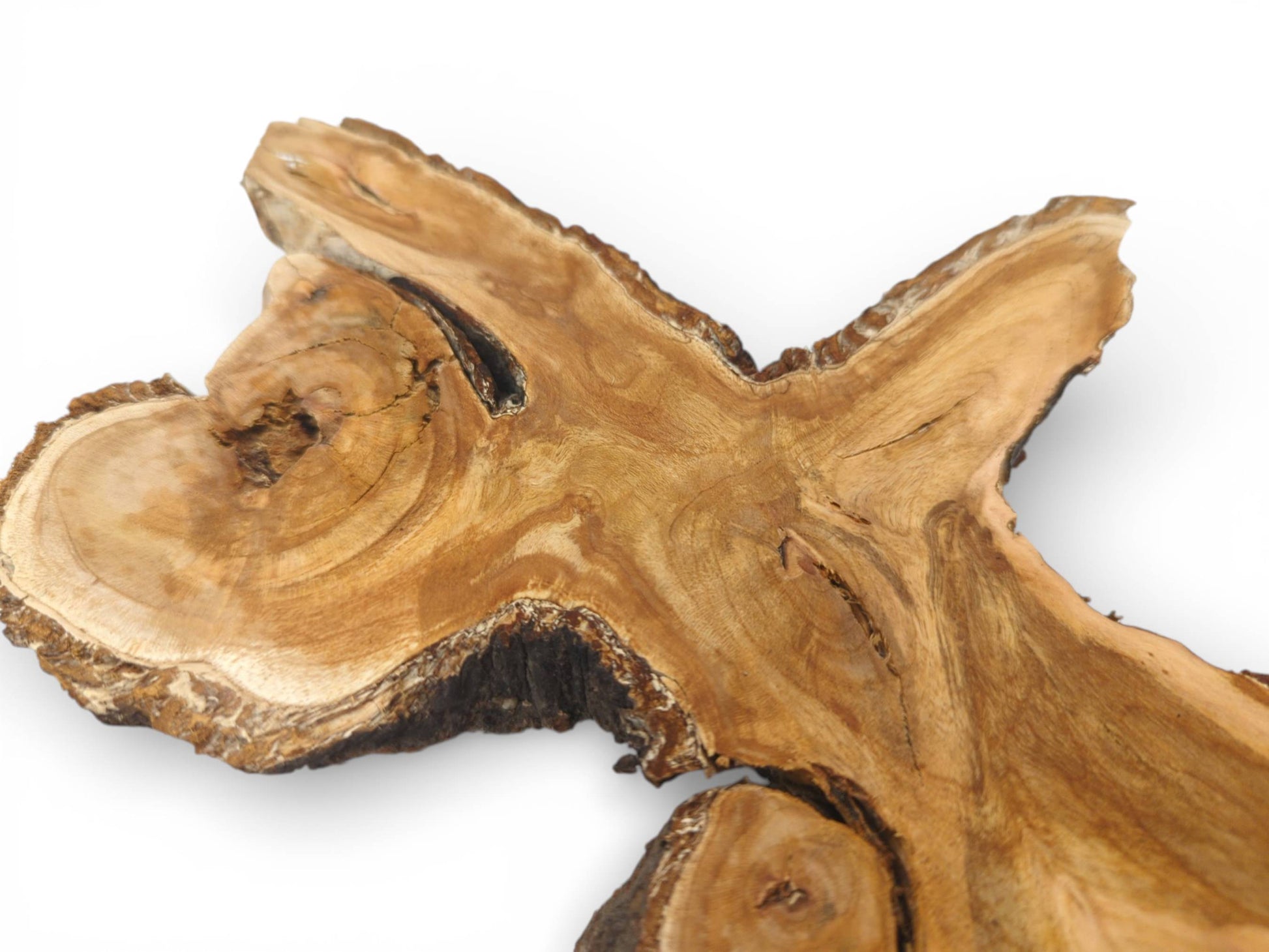 Angled close-up of a wild cherry crotch slab, showcasing the swirling grain and dark, natural edge.