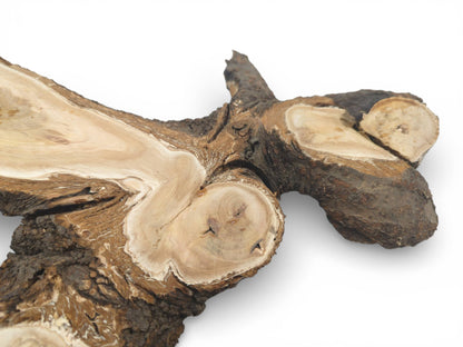 Angled profile of a wild cherry crotch section displaying smooth cuts against its rugged, dark bark.