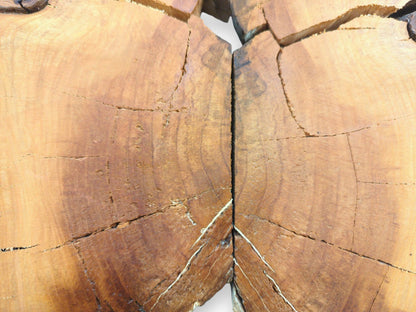 A fractured timber round displays a deep central split and pale splintering along the cracks.