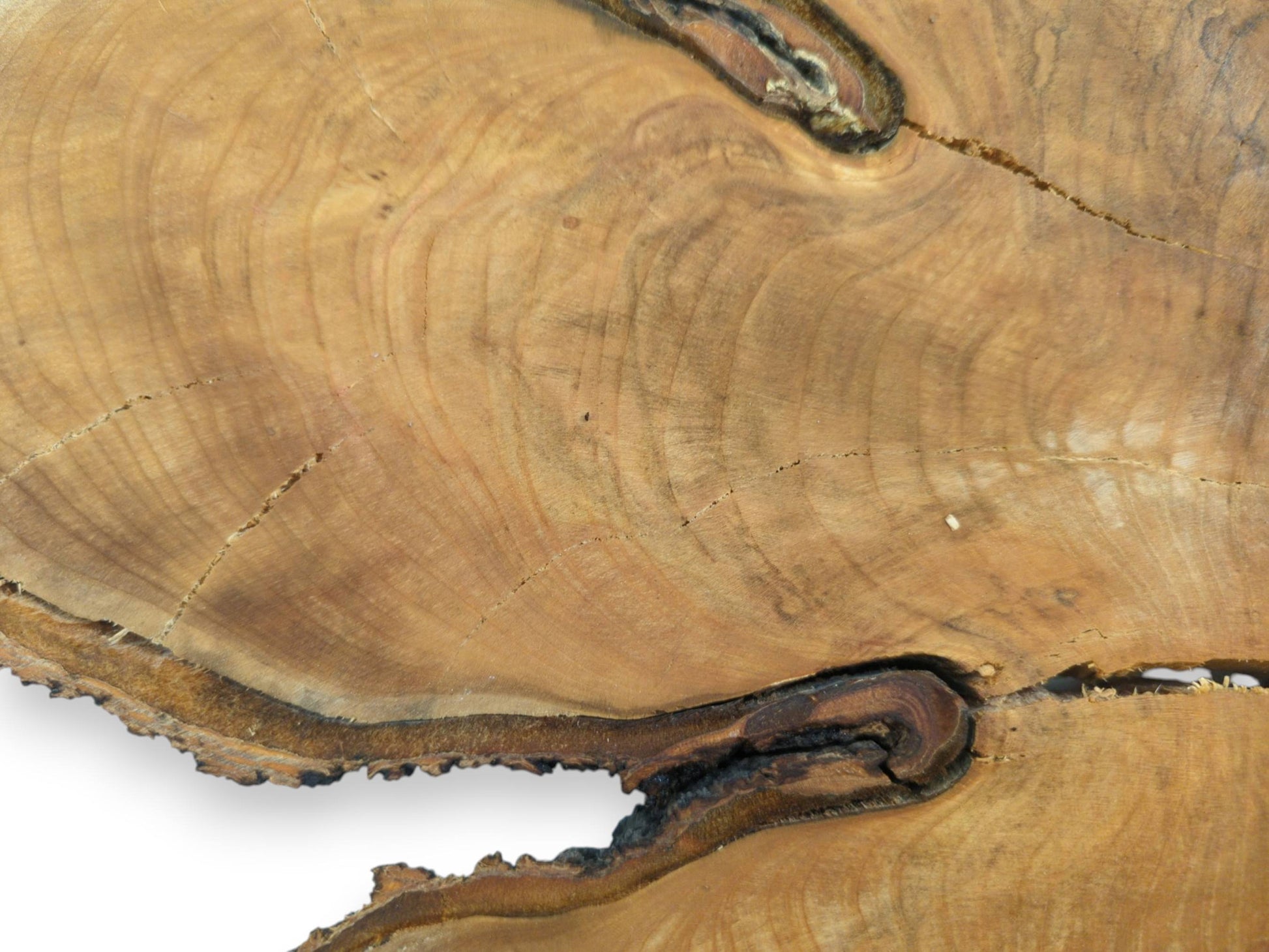 A jagged rift splits the golden timber round, exposing dark, swirling burls along its edge.