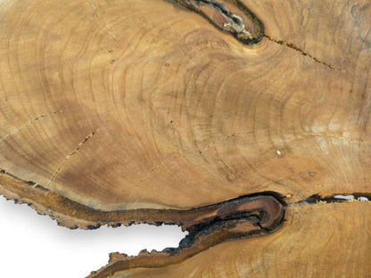 A jagged rift splits the golden timber round, exposing dark, swirling burls along its edge.