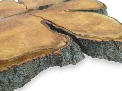 A low-angle view of a split wood slab highlights its thick, craggy live edge.