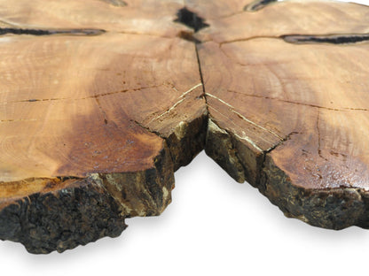 A low perspective across a split log section highlights deep cracks and a coarse bark edge.