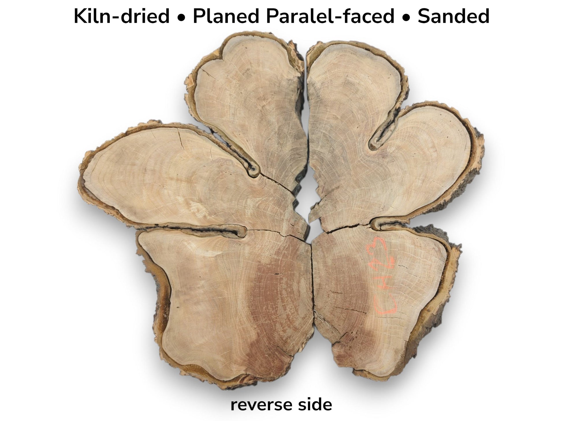 Six split timber pieces with coarse bark arranged in a floral shape showing orange marks.