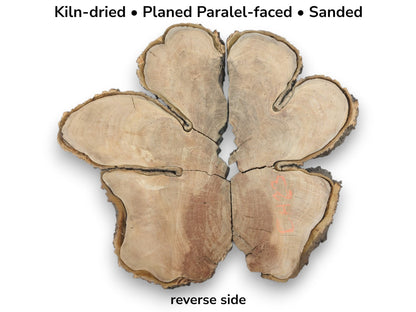 Six split timber pieces with coarse bark arranged in a floral shape showing orange marks.