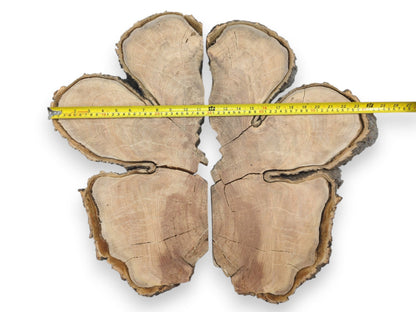 A yellow measuring tape spans six fractured lumber pieces arranged in a clover pattern.