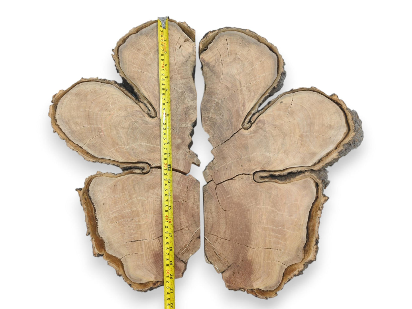 A four-lobed timber cross-section is split down the middle by a yellow tape measure.