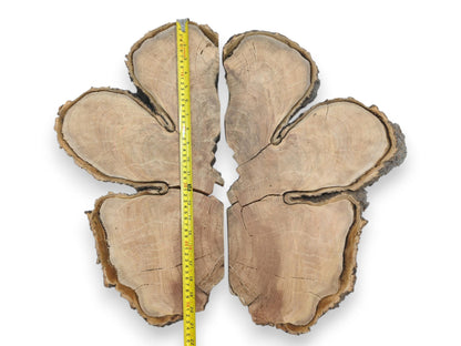 A four-lobed timber cross-section is split down the middle by a yellow tape measure.