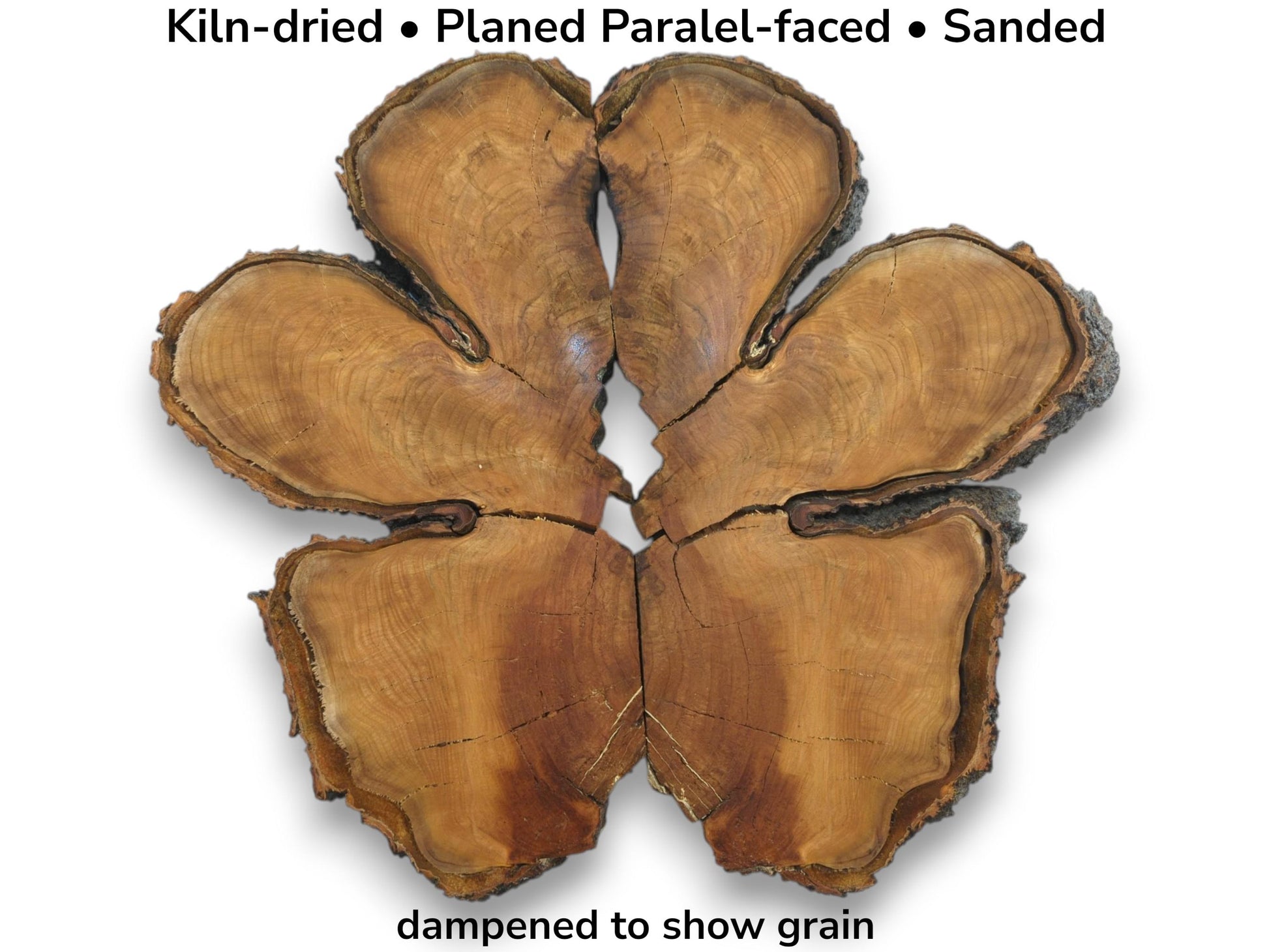 A deconstructed timber round, its six fractured pieces arranged in a starburst with dark, rough bark.
