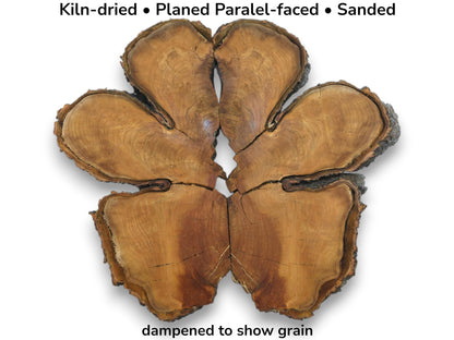 A deconstructed timber round, its six fractured pieces arranged in a starburst with dark, rough bark.