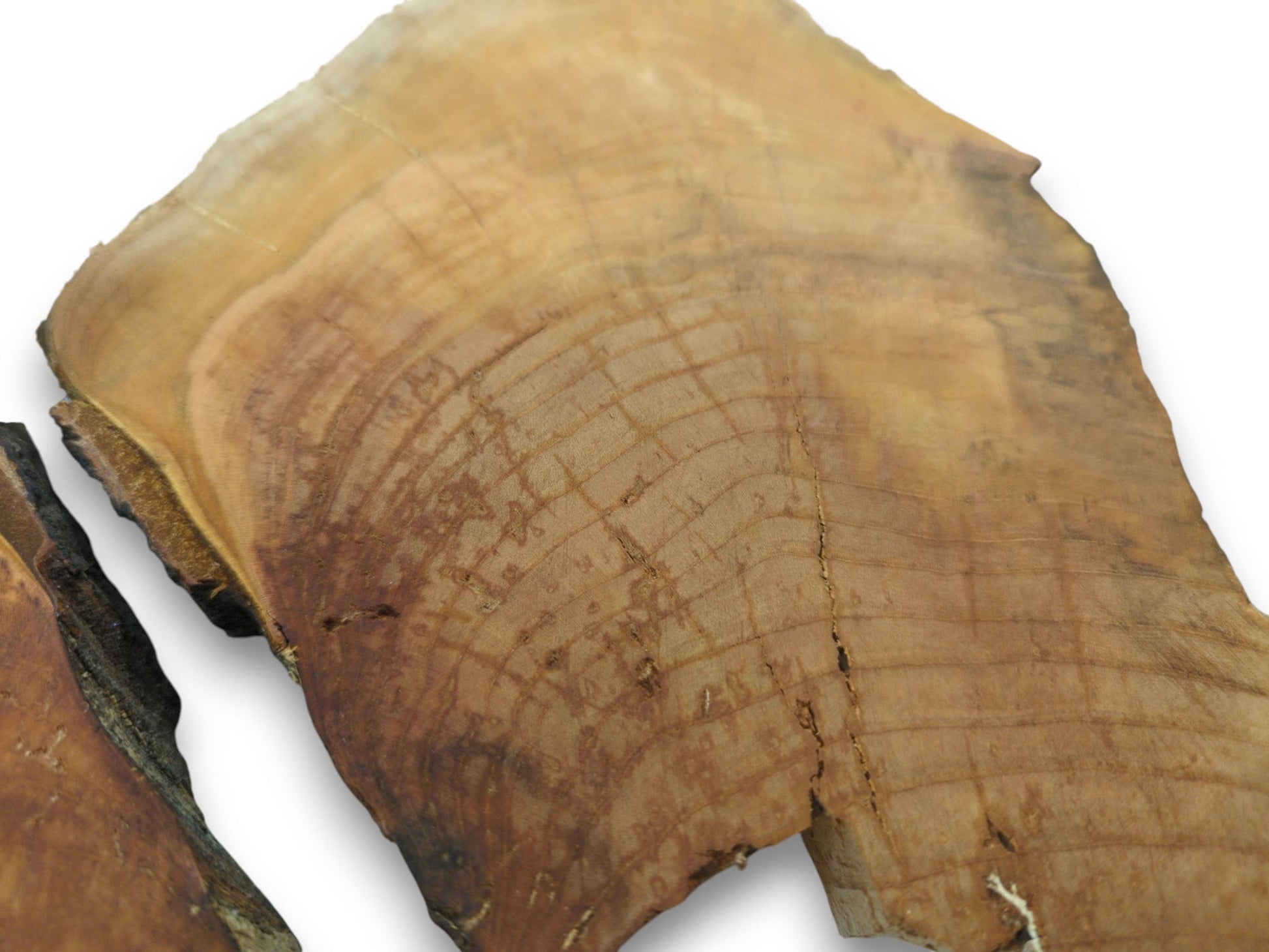 Two irregular cherry wood slices with natural edges and visible growth rings on a white background.
