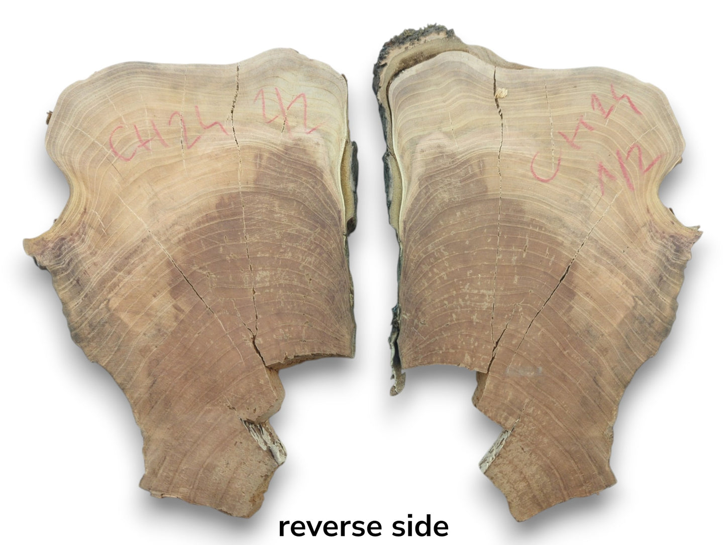 Two light brown cherry wood slices with natural edges, visible growth rings, and cracks.
